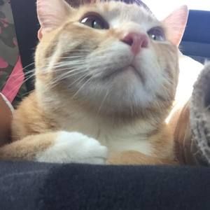 Meet your Posher, Aryka